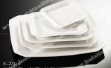 Porcelain Dish