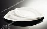 Porcelain Dish