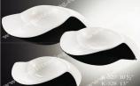 Porcelain Dish