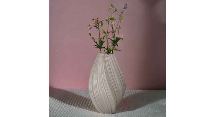Home Decorative Ceramic Vase